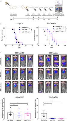 Corrigendum: Alpha Thalassemia/Intellectual Disability X-Linked Deficiency Sensitizes Non-Small Cell Lung Cancer to Immune Checkpoint Inhibitors
